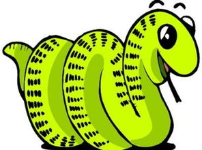 梦到在水里捞蛇，梦见从水中打捞出来一些东西