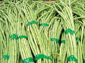 梦见结好多豆角什么意思，梦见结了许多豆角