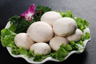 梦到自己吃蘑菇，梦见吃各种各样的蘑菇