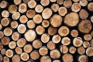 梦见别人运木头，梦见别人搬运木头 木材