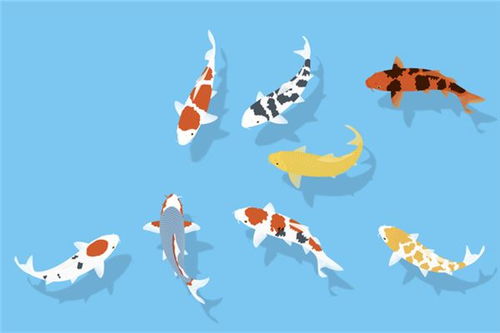 梦到抓了两条小鱼,放了一条小鱼，梦见抓了两条小鱼