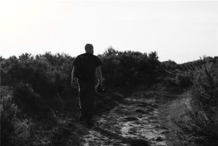 梦见很难走，梦到走不动路的预兆