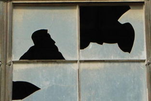 梦到破窗户,破屋子,多只猫啥意思,做梦窗户破了怎么回事