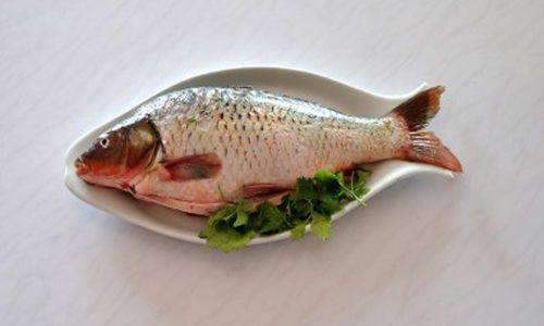 做梦买鱼食，梦中买鱼吃,啥解