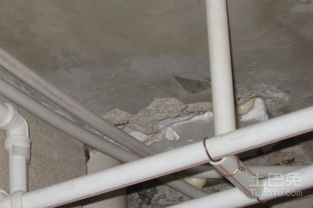 做梦梦到用水管浇绿地什么意思，做梦梦到用水管水撒了老公身上