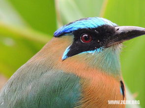 梦见鱼在瓶子里，梦见把鱼装进水瓶里好不好