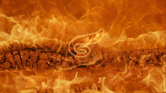 梦见火器，梦见火炭是什么意思