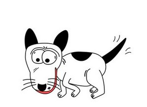 周公解梦梦见提着猪头走路，梦见提猪食