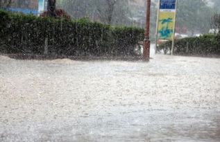 梦到大水把家淹了啥意思，梦到水把家淹了是什么意思?