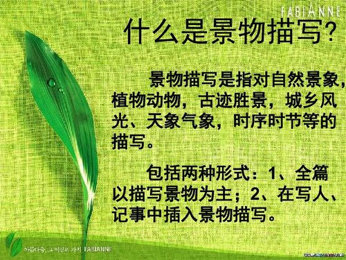 梦到经常梦到的场景，经常看到梦里的场景