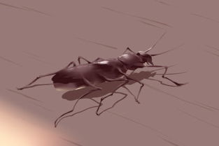 梦见草莓上有虫子，梦见摘草莓有虫子