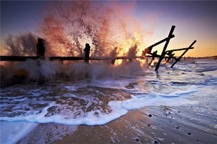 梦见家乡发大水但是水很清澈，梦见家乡发大水,我学会了游泳