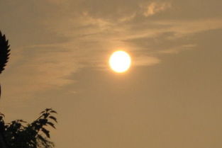 梦见跪拜太阳，梦见跪拜太上老君