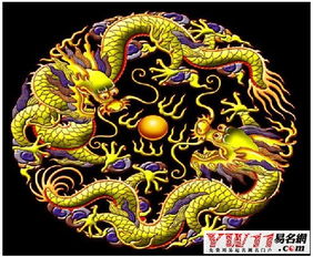 梦见自己看见龙是什么意思，梦见自己看见了龙,感觉好真实