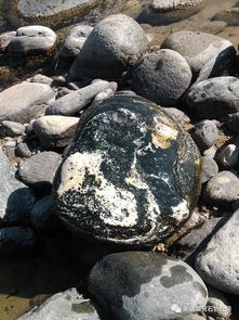 梦见好多手表是什么预兆，梦见好多个手表