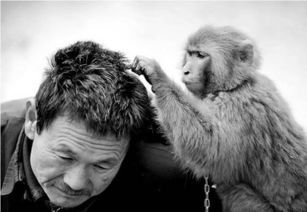 梦见捉虱子是什么意思，梦到头上虱子