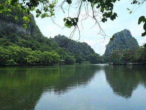 梦见山上流出水来，梦见山中流水