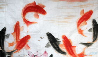 梦见从河里捞出鱼什么预兆，做梦从河里捞鱼