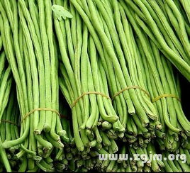 梦见豆角什么意思周公解梦梦见别人给了我一把长豆角，梦里好多豆角