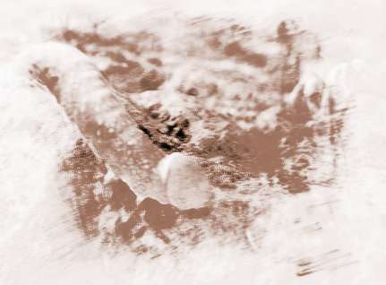 梦到一条青蛇什么意思，昨天晚上梦到一条青蛇