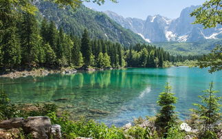 梦见清澈的水底有石头，梦见清水看见石头