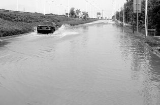 梦到楼被淹了，梦见水淹了一层楼