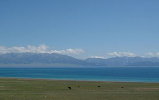 梦见贞子什么意思，梦见贞子来找自己