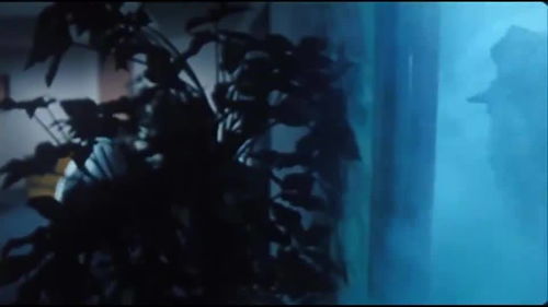 梦到恶鬼追杀，梦到恶鬼追我