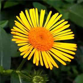 百天做梦准不准，梦见给孩子过百天