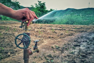 梦见爬太行山，梦见爬泰山是好还是不好