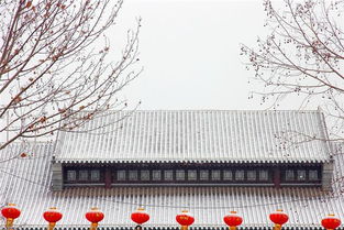 梦见跑上房顶，做梦梦见上房爬房子