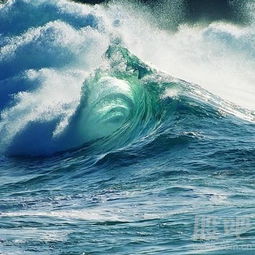 梦见掉入海里,又从另一边爬出来,梦见掉入海中被救起