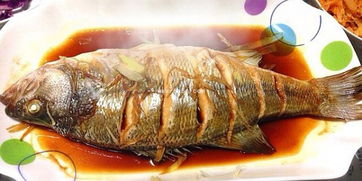 梦见吃鱼肉是什么预兆 周公解梦，梦见吃鱼周公解梦原版