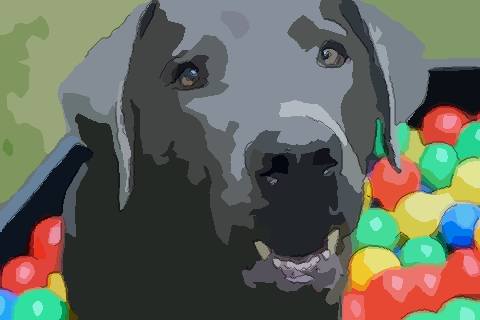 梦见咬人是什么预兆，梦到咬人咬出血