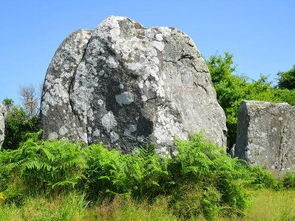 做梦梦到石山,梦见漂亮的石头山