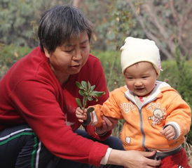 梦见看望儿子，梦见回家看儿子