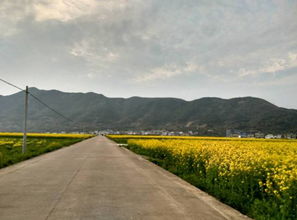 梦见南边，梦见南瓜有什么预兆