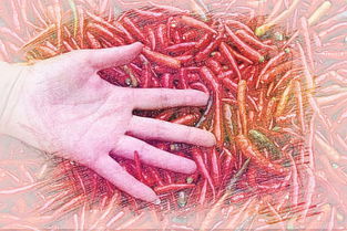 梦见手掌心鼓起大包，梦见手掌心