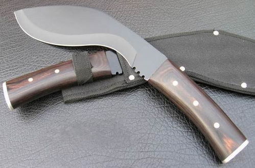 梦见抢到一把刀，梦见我抢了敌人的刀