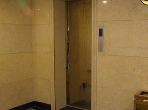 梦到坐电梯很晕,梦见自己晕电梯