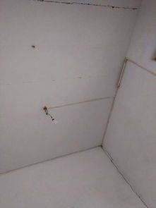 梦到自家房子被火烧了，梦见自家的房子被火烧了