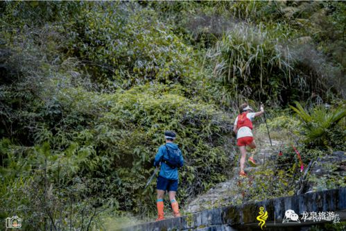 梦见坑是什么预兆，梦见土坑