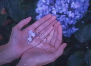 梦见买水是怎么回事，梦见买水买不到