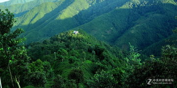 梦见雨后大山，梦到雨后天晴风景如画