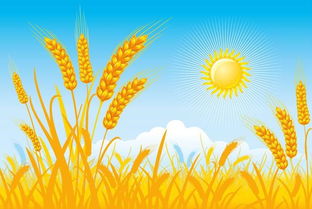 梦到麦子是什么意思胎梦，梦见打麦子是怎么回事