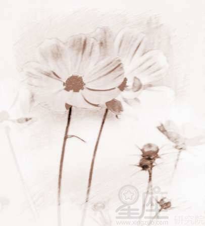 做梦梦到花草树木，做梦梦到花草树木好不好