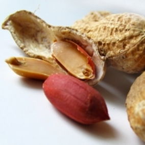 梦见花生 梦林玄解,梦到花生