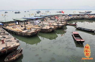 梦见错过轮渡，梦见自己错过了下船码头