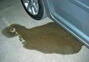 梦见墙漏雨了怎么回事儿，梦见墙漏水是什么预兆