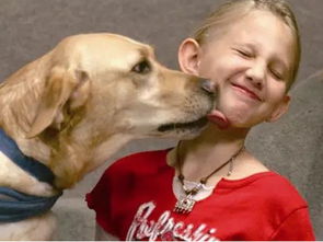 梦见收养被遗弃的狗，梦见去领养狗狗